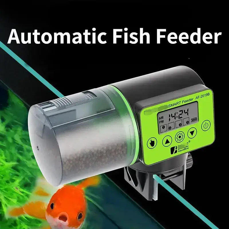 Cheap automatic fish sales feeder