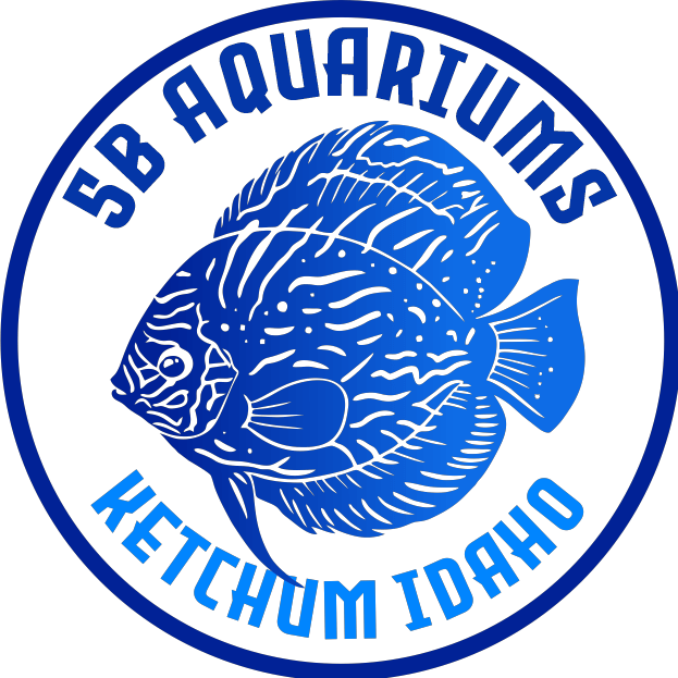 5BA_2_cf7710a0-5b79-4bfe-b32f-