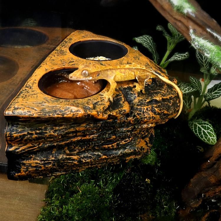 Magnetic Reptile Feeder Ledge