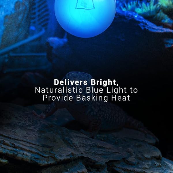 Blue Day Light Reptile Heat Bulb 60W UVA