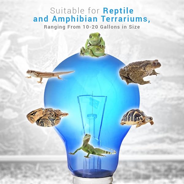 Blue Day Light Reptile Heat Bulb 60W UVA