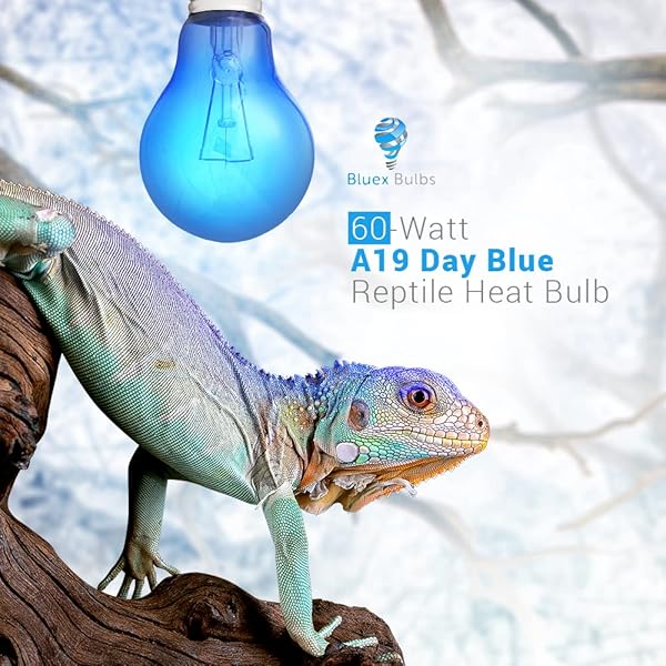 Blue Day Light Reptile Heat Bulb 60W UVA