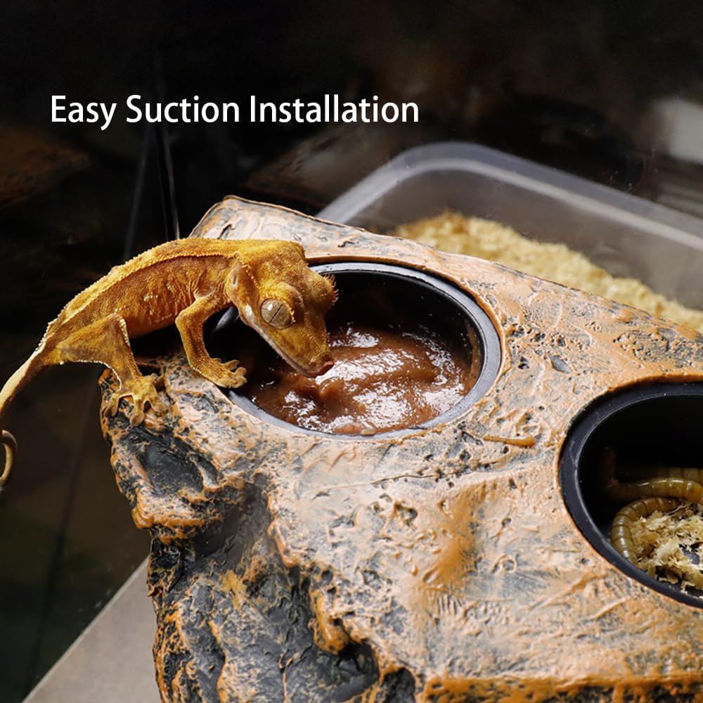 Magnetic Reptile Feeder Ledge