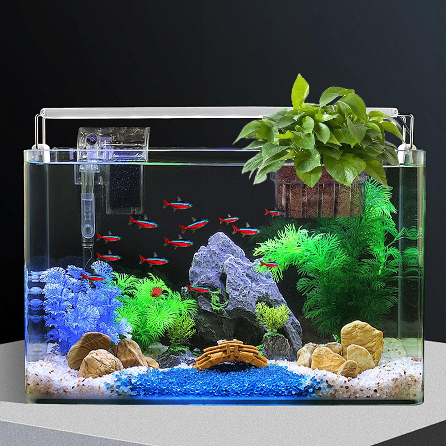 Clear Aquarium Plant Holder