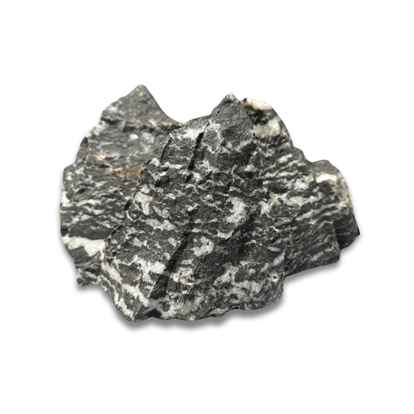 Zebra Freshwater Rock