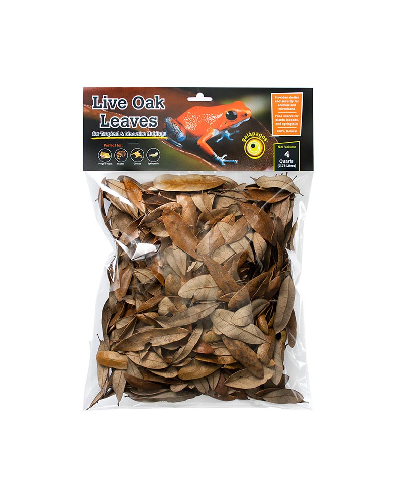 Natural Live Oak Leaf Litter, 4QT
