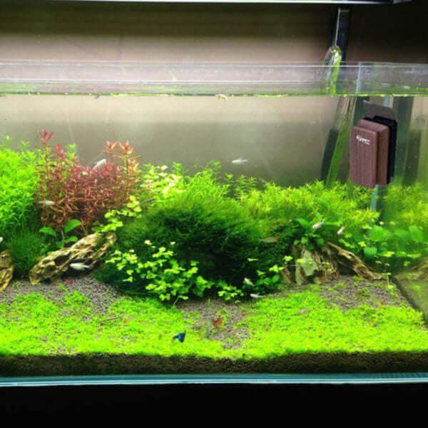 Hygger Magnetic Fish Tank Glass Cleaner