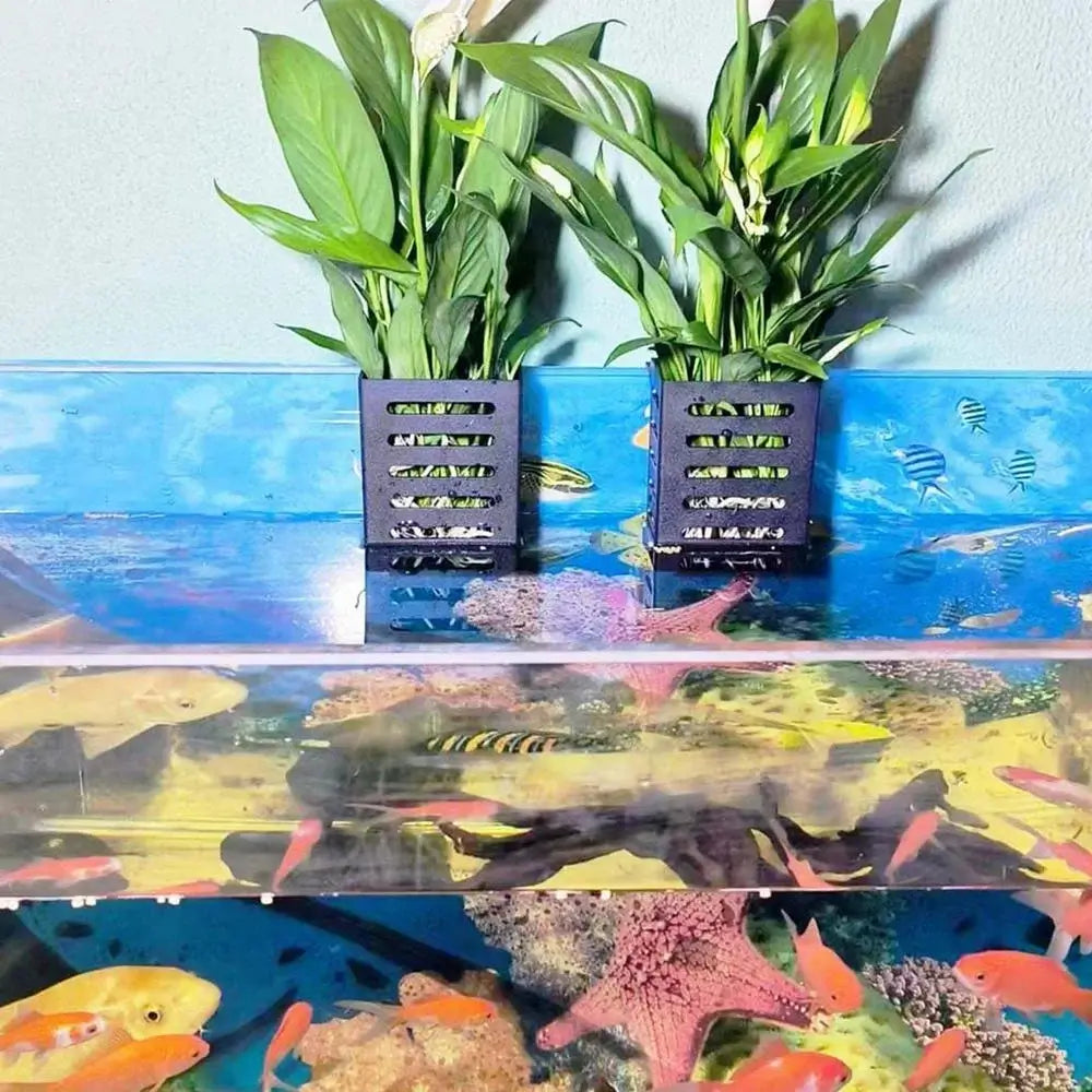 hanging aquarium plants Hanging Aquarium Plant Basket