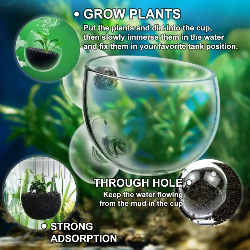 Aquarium Glass Cylinder Pot for Aquatic Plants