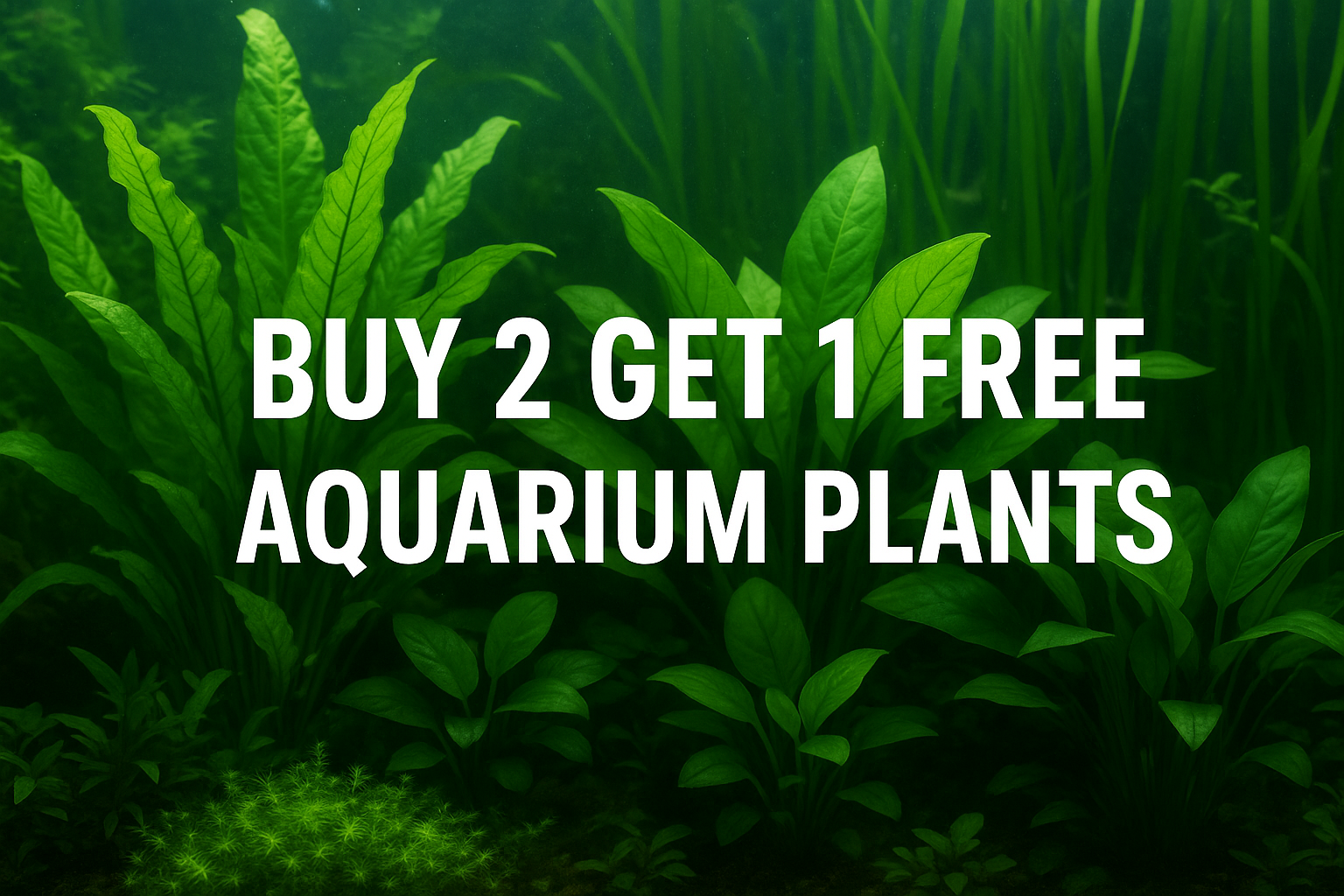 Aquarium plat promotion buy 2 get one free use real aquarium plants for background