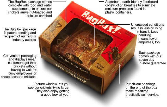 bug fish box Play Big Little Fish Cardboard by Nik Martin on Amazon Music Flies not included Unique bug/fish container guide! :