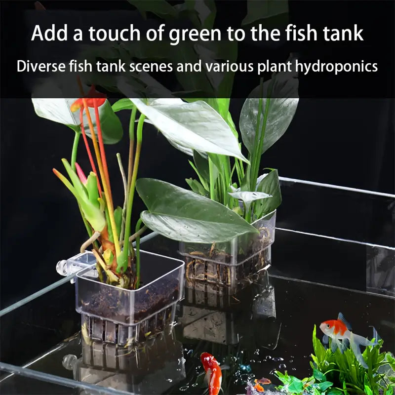aquarium plant hanger Clear Aquarium Plant Holder