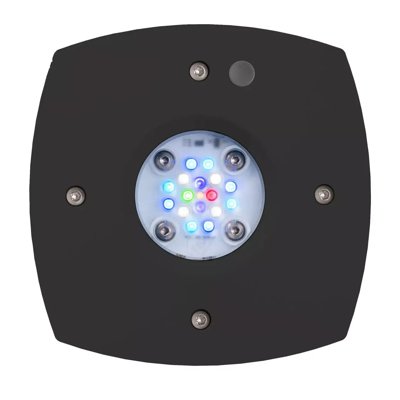 AquaIllumination Prime 16 HD LED Reef Light