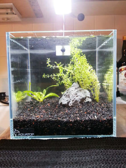 AQUATOP 2.11 Gallon High Clarity Low Iron Glass Cube Aquarium