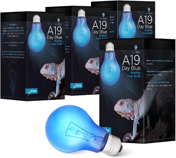 Blue Day Light Reptile Heat Bulb 60W UVA