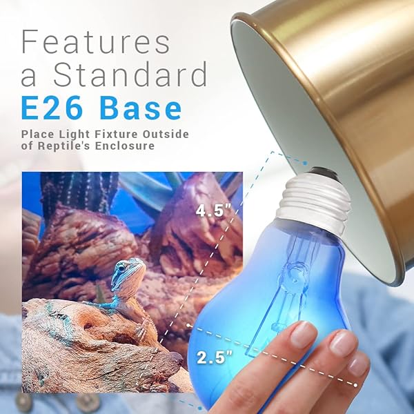 Blue Day Light Reptile Heat Bulb 60W UVA