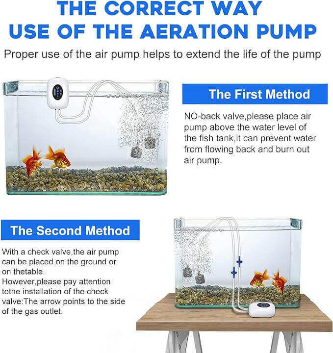 Aquarium air pump setup best sale