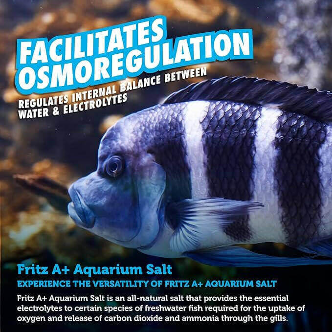 Fritz Aquatics A+ Aquarium Salt.