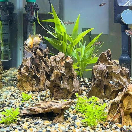 Natural Aquarium Dragon Stone Rock.