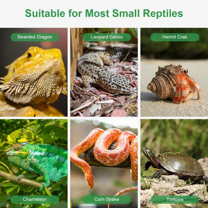 Hygger ZOO 2-in-1 Retile Water & Food Dish