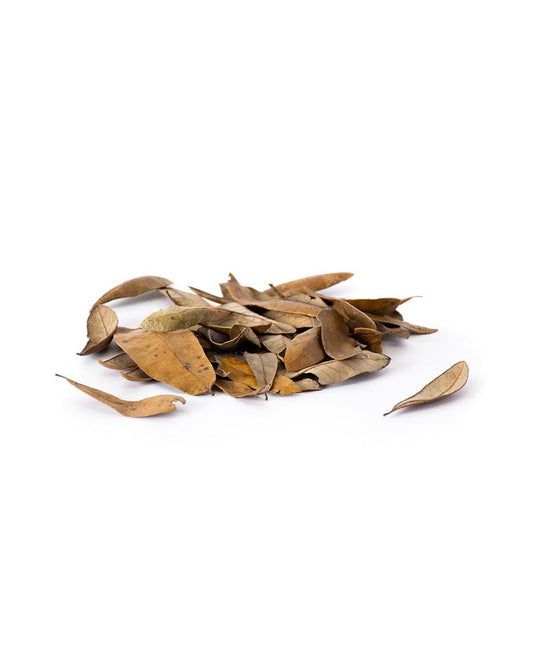 Natural Live Oak Leaf Litter, 4QT
