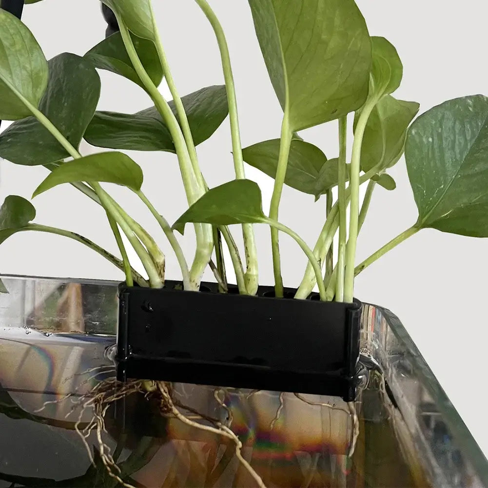 hanging plants for aquarium Hanging Aquarium Plant Hook