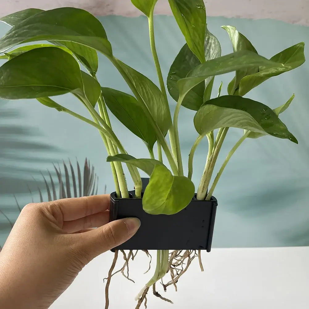 aquarium hanging planter Hanging Aquarium Plant Hook