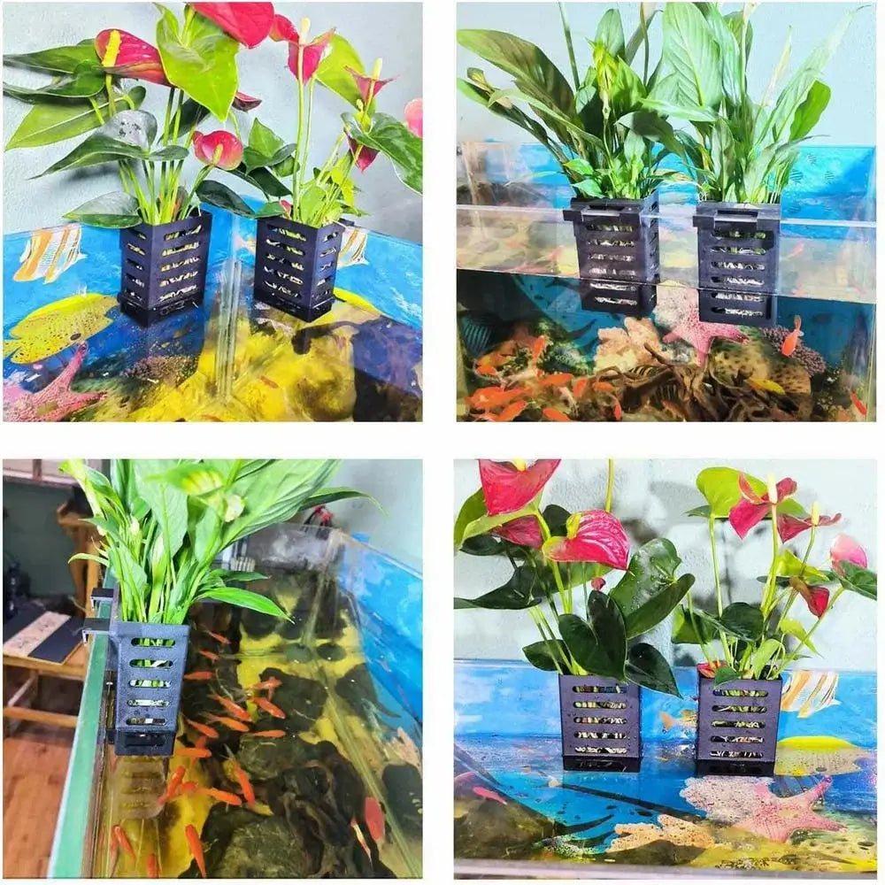 hanging aquarium planter Hanging Aquarium Plant Basket