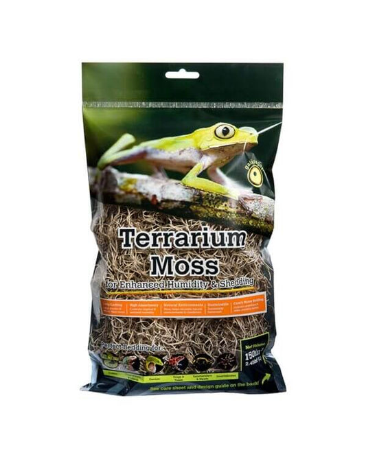 Spanish Moss Mini Bag