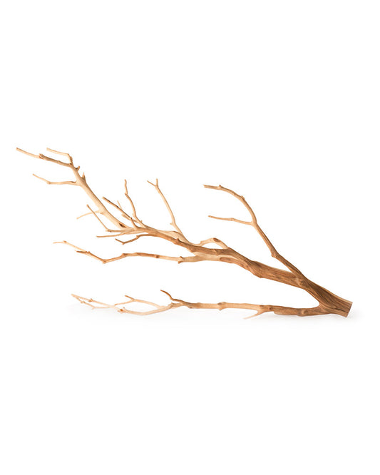 Staghorn Branch™