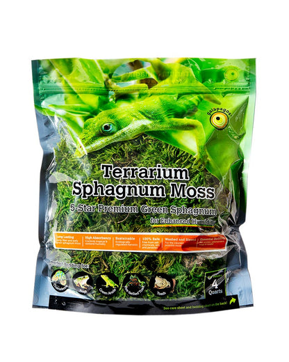 Green Sphagnum Moss