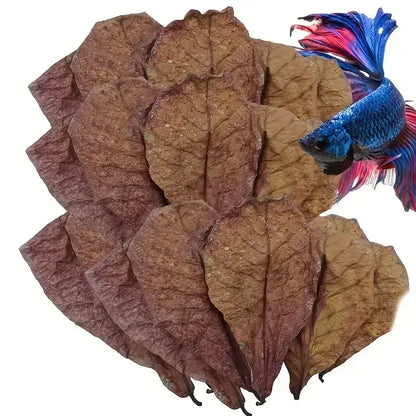 Cattapa Almond Leaves for Aquariums 3 Pack.