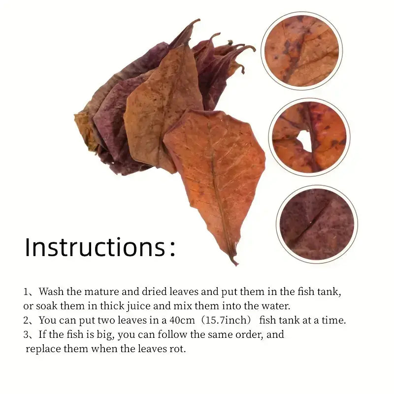 Cattapa Almond Leaves for Aquariums 3 Pack.