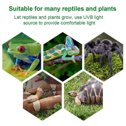 Reptile Heating Lamp with UVA UVB Light Bulbs