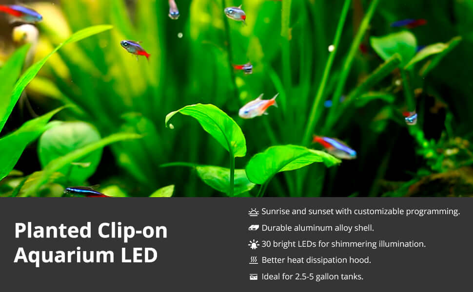 NICREW Clip on Aquarium Light, Planted Aquarium Light for Nano Tank.