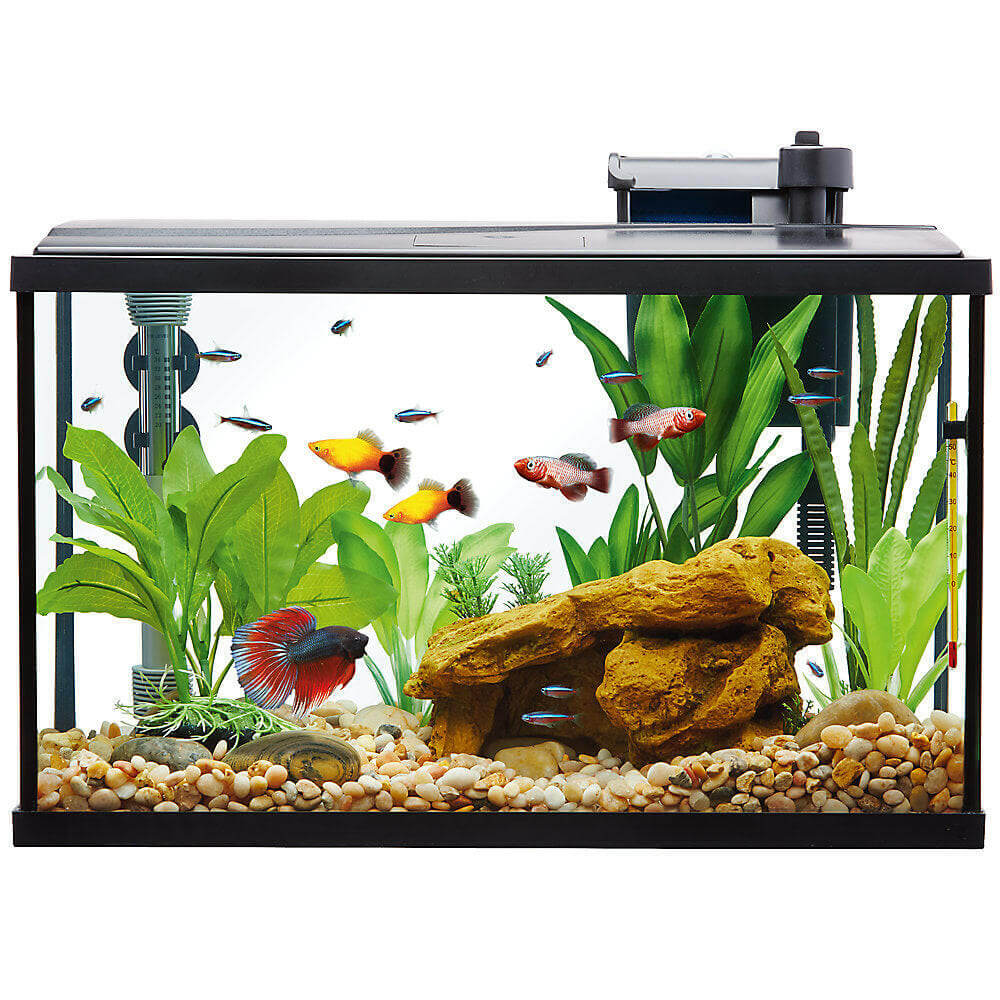 Top Fin® 10 Gal akvariumo pradžios rinkinysTop Fin® 10 Gal akvariumo pradžios rinkinys  